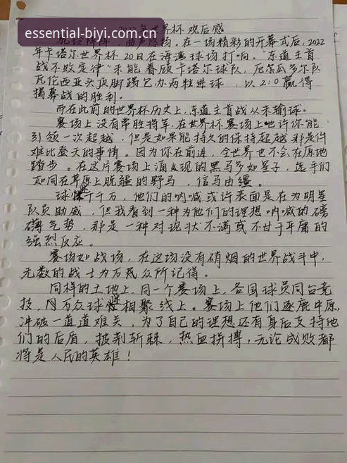运动竞技平台推荐 资深用户分享:世界杯观赛热情遇冷,签证困局下的体育赛事体验心得